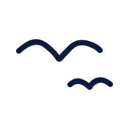 Seagull icon, Draw style