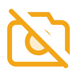 Camera off icon, Duo style