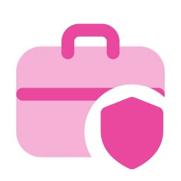 Briefcase shield icon, Flat style