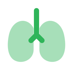 Lungs icon, Flat style