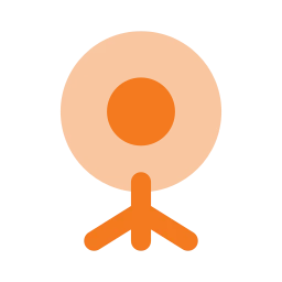 Ring light icon, Flat style