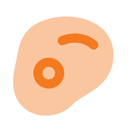 Steak icon, Flat style