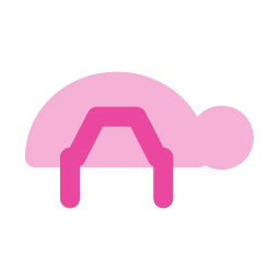 Turtle icon, Flat style