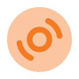 Vinyl icon, Flat style