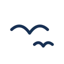 Seagull icon, Jass style