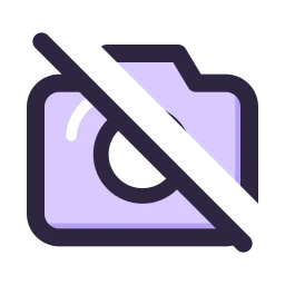 Camera off icon, Lineal style