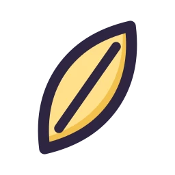 Surfboard icon, Lineal style