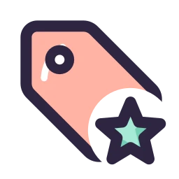 Tag star icon, Lineal style