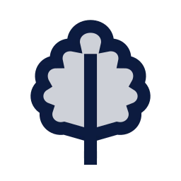 Leaf oak icon, Sharp Duotone style