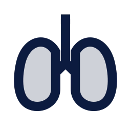 Lungs icon, Sharp Duotone style