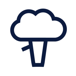 Broccoli icon, Sharp Line style