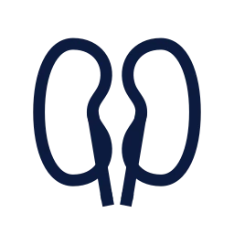 Kidneys icon, Sharp Line style