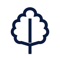Leaf oak icon, Sharp Line style