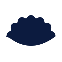 Dumpling icon, Sharp Solid style