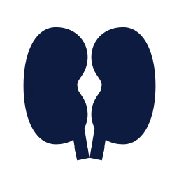 Kidneys icon, Sharp Solid style