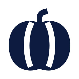 Pumpkin icon, Sharp Solid style