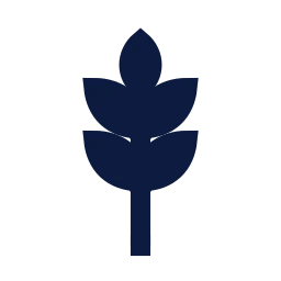 Wheat icon, Sharp Solid style