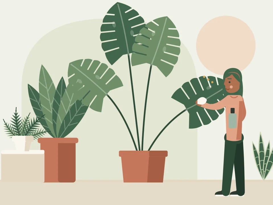 Leaf by leaf illustration