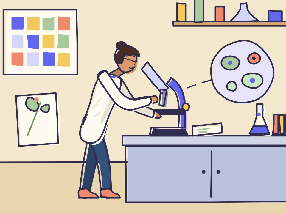 Ideas worth exploring illustration