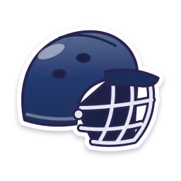 Cricket Helmet sticker